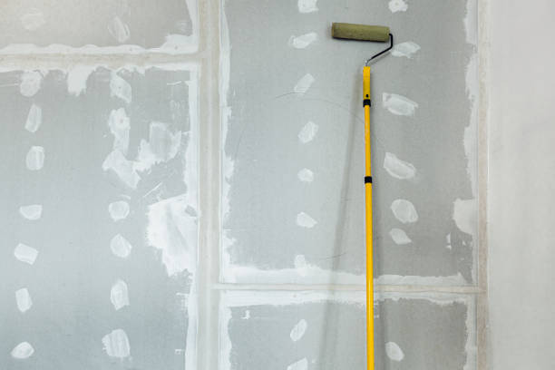 Best Water-Damaged Drywall Repair  in Lake Ozark, MO