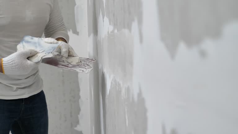 Best Drywall Sanding and Smoothing  in Lake Ozark, MO